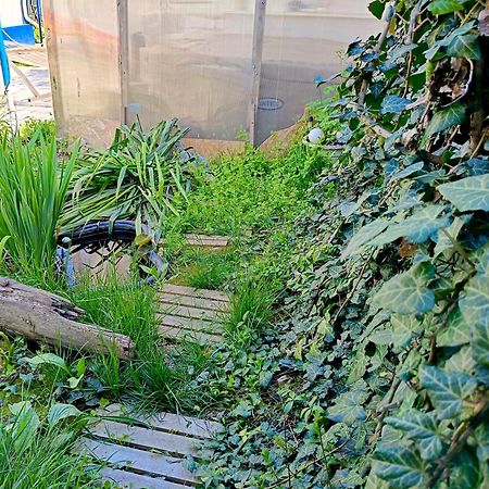 Casa Babica Guesthouse 코스티네스티 외부 사진