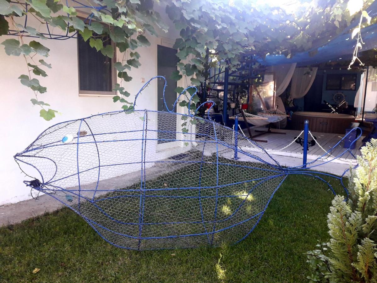 Casa Babica Guesthouse 코스티네스티 외부 사진