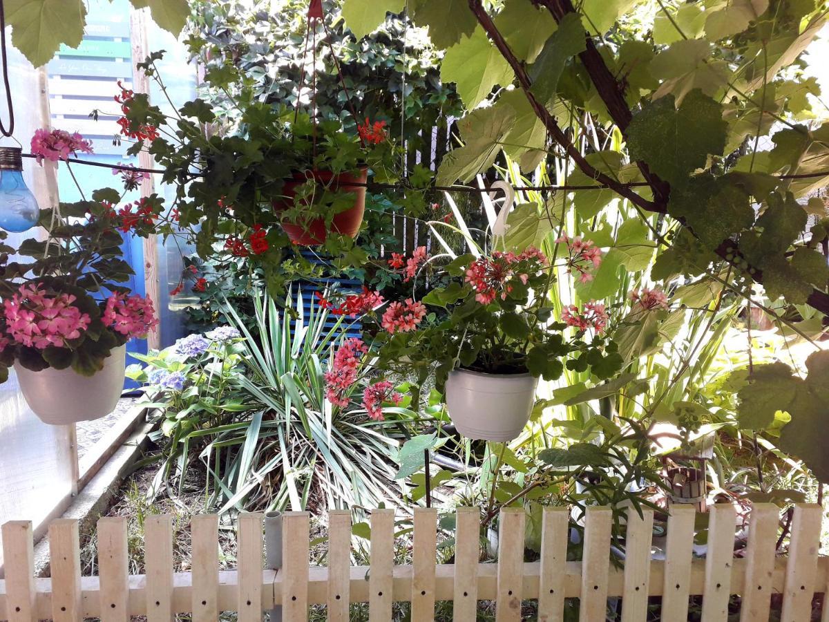 Casa Babica Guesthouse 코스티네스티 외부 사진