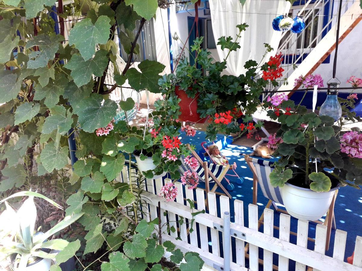Casa Babica Guesthouse 코스티네스티 외부 사진