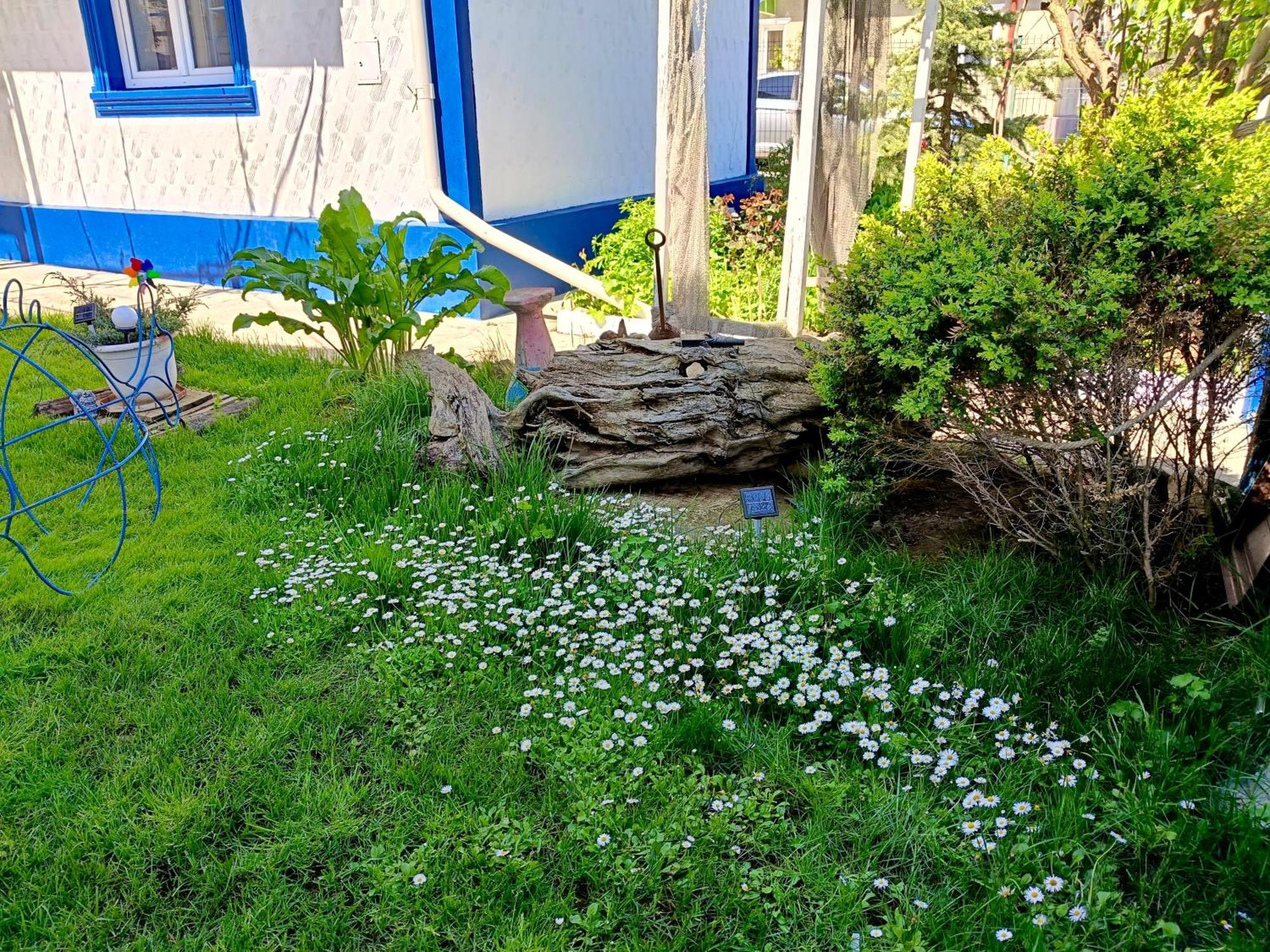 Casa Babica Guesthouse 코스티네스티 외부 사진