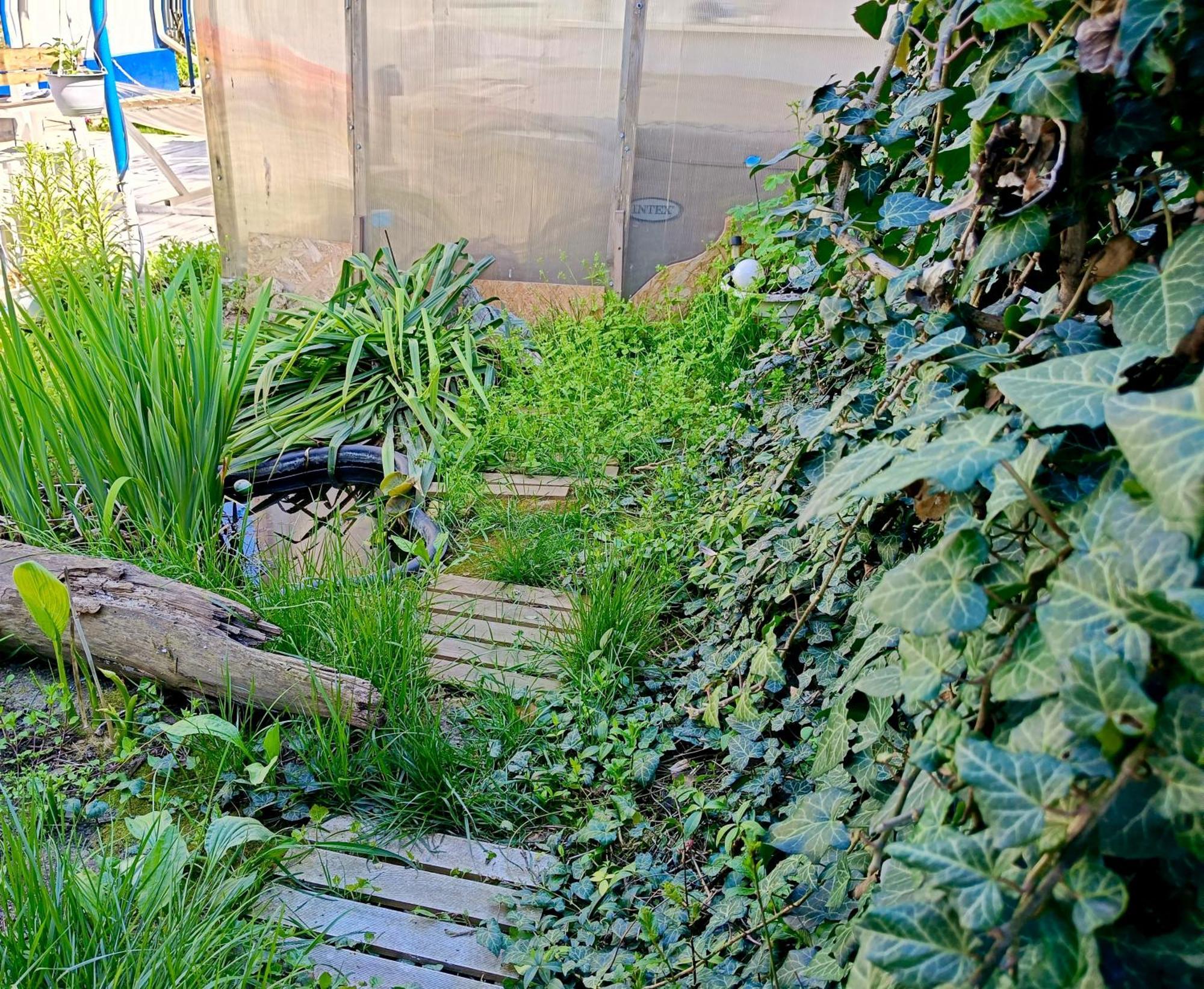 Casa Babica Guesthouse 코스티네스티 외부 사진